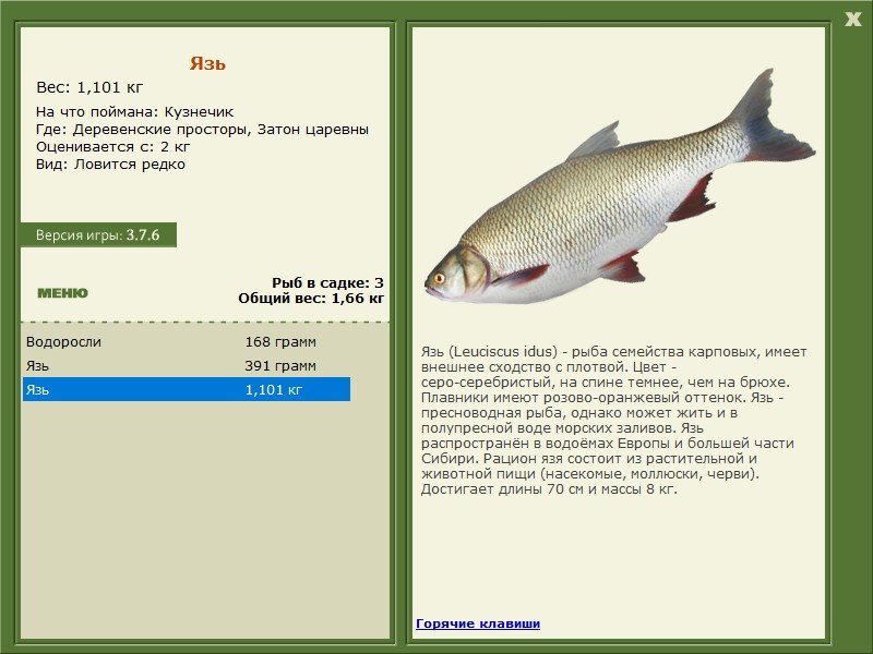 турниры • РУССКАЯ РЫБАЛКА