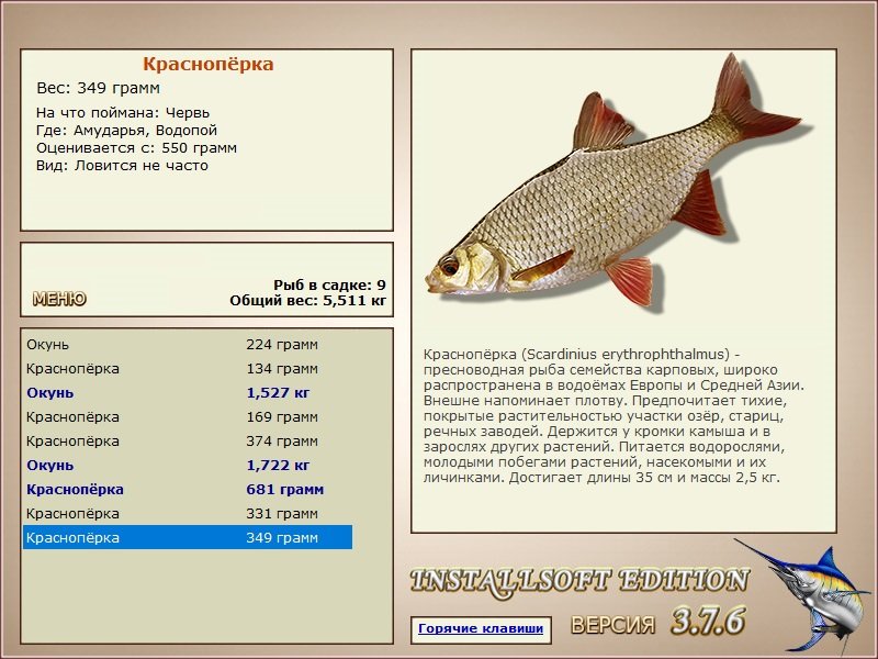 Водопой 