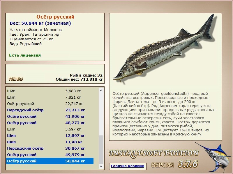 Татарский яр 