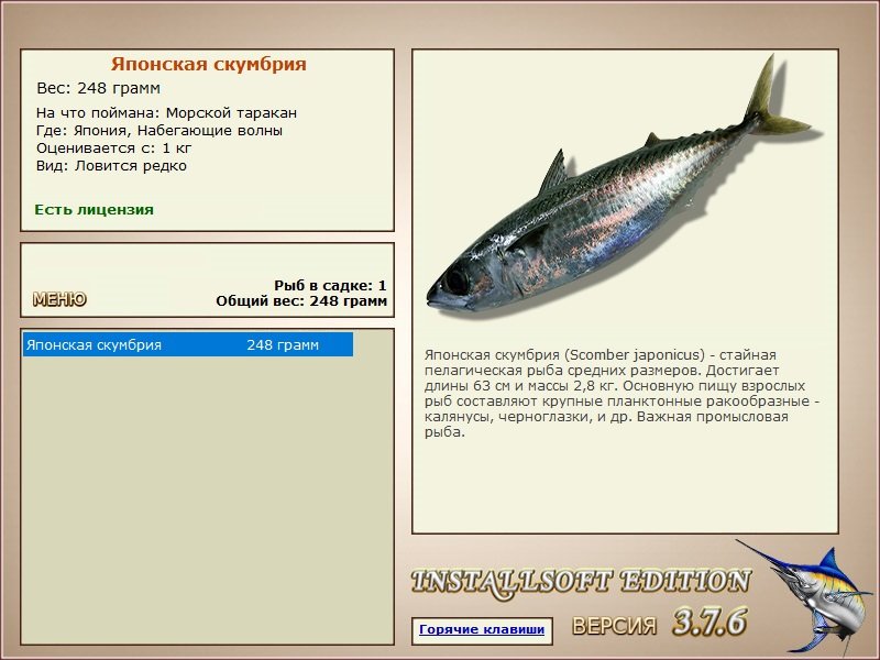 Набегающие волны 