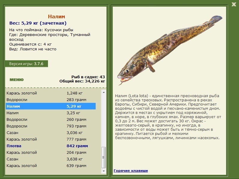 Деревенские просторы 