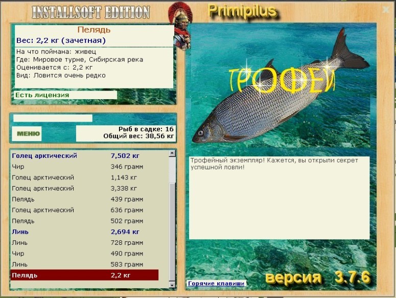 Сибирская река 