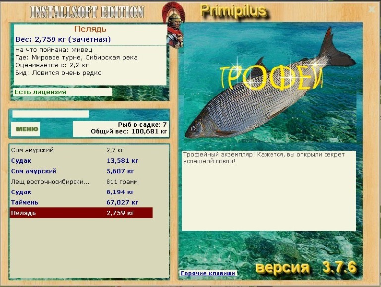 Сибирская река 