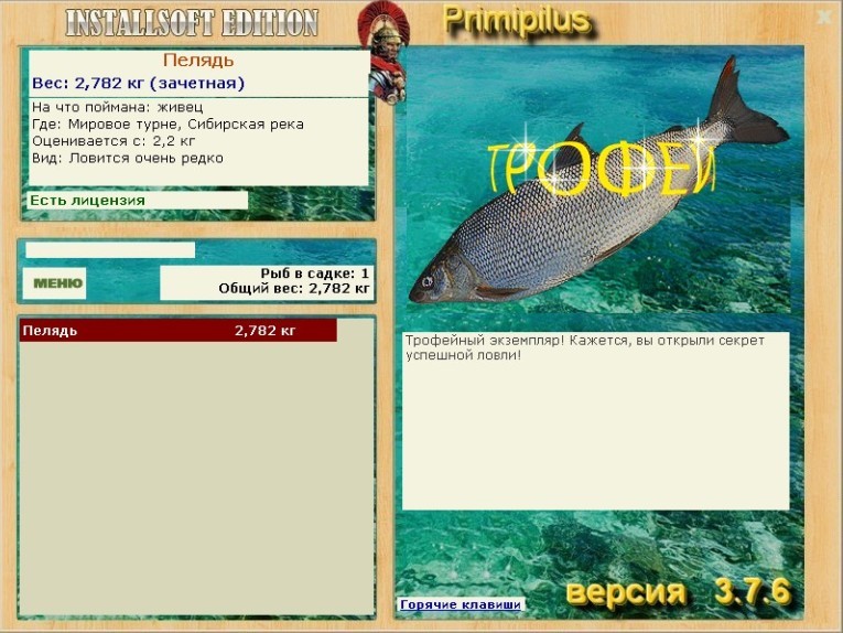 Сибирская река 