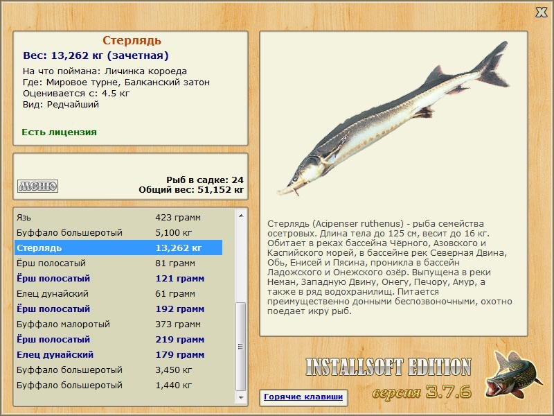 Балканский затон 