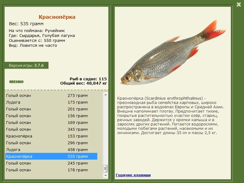 Голубая лагуна 