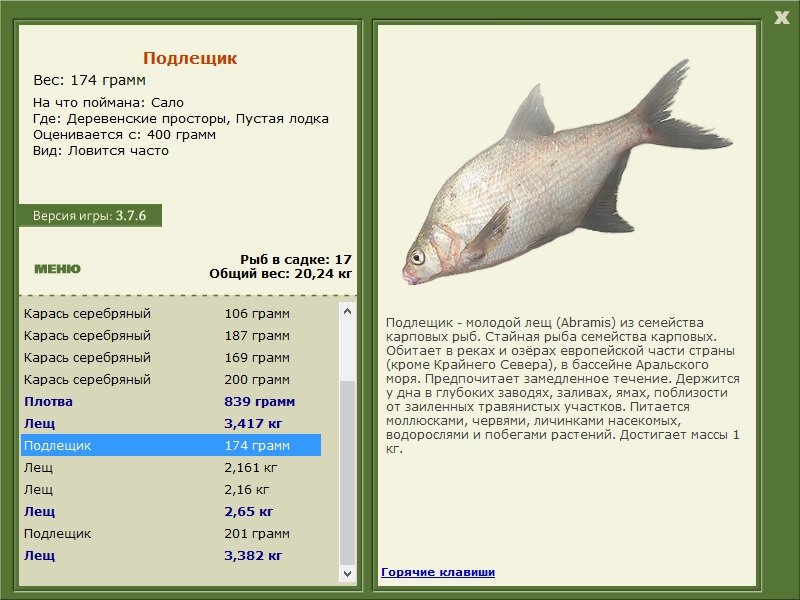 турниры • РУССКАЯ РЫБАЛКА