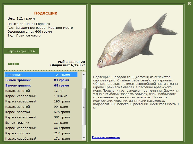 турниры • РУССКАЯ РЫБАЛКА