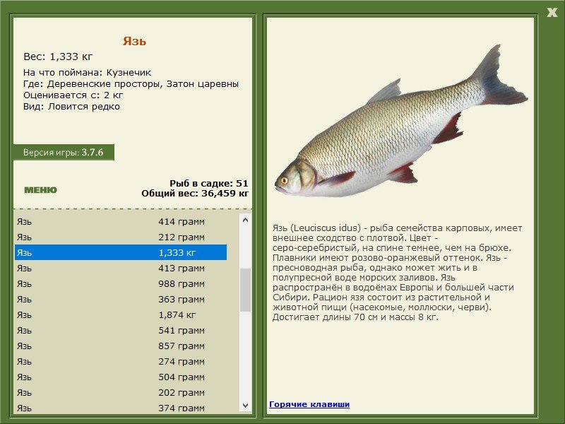 турниры • РУССКАЯ РЫБАЛКА