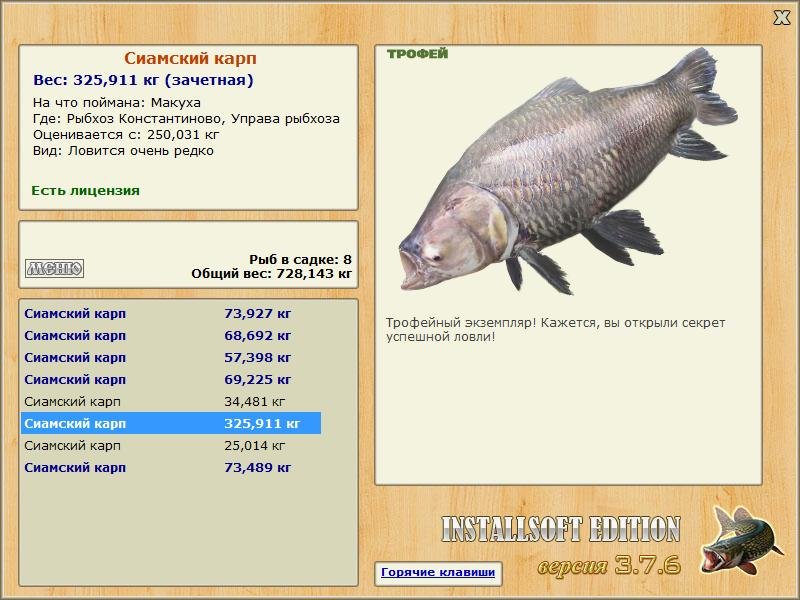 Сиамский карп 
