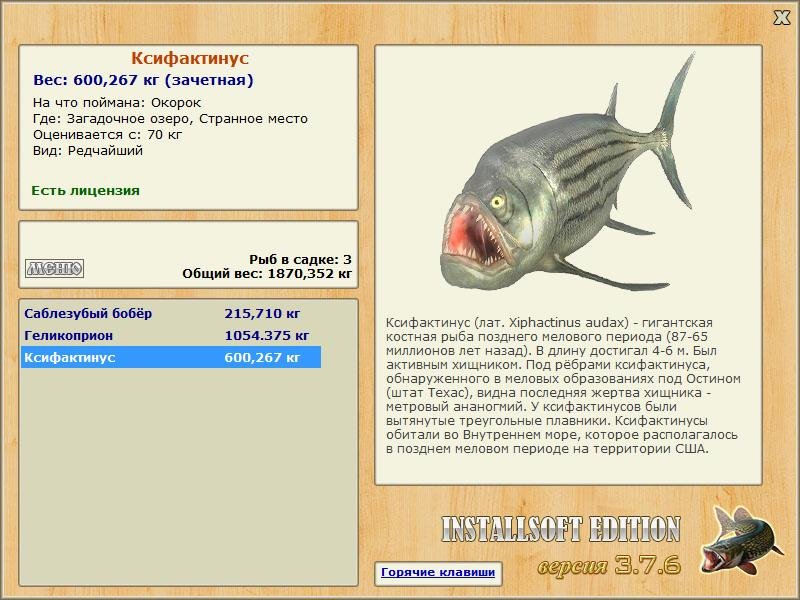 Ксифактинус 