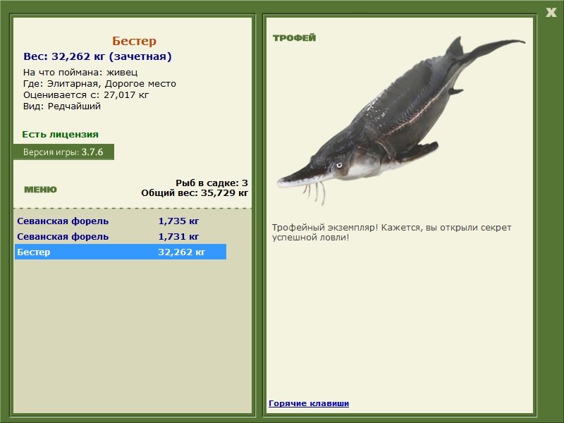 Бестер 