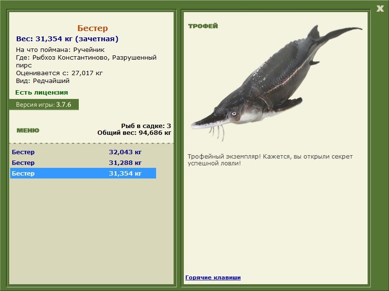Бестер 