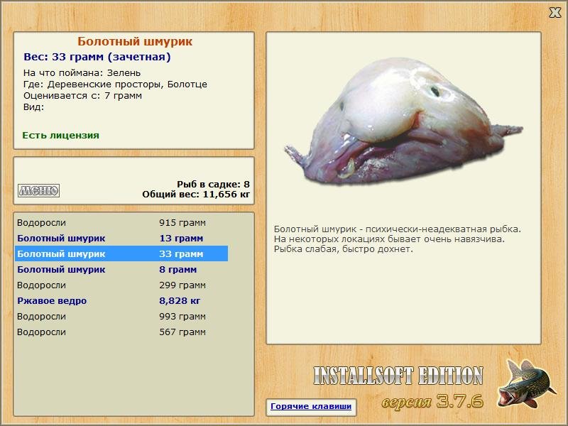Болотный шмурик 