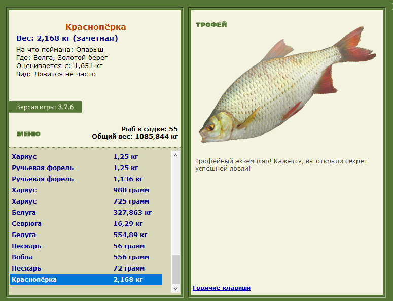 Краснопёрка 
