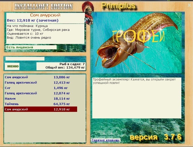 Сибирская река 