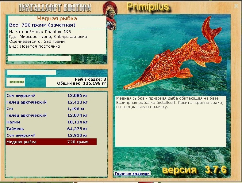 Сибирская река 