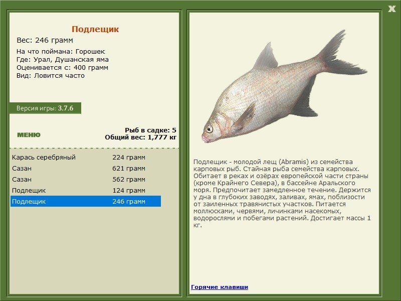 Душанская яма 
