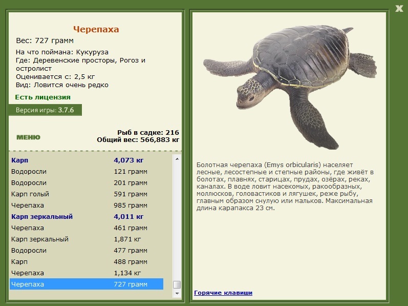 турниры • РУССКАЯ РЫБАЛКА