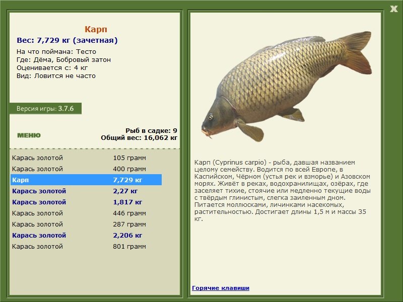 турниры • РУССКАЯ РЫБАЛКА
