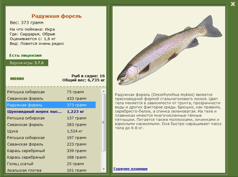 Сырдарья 