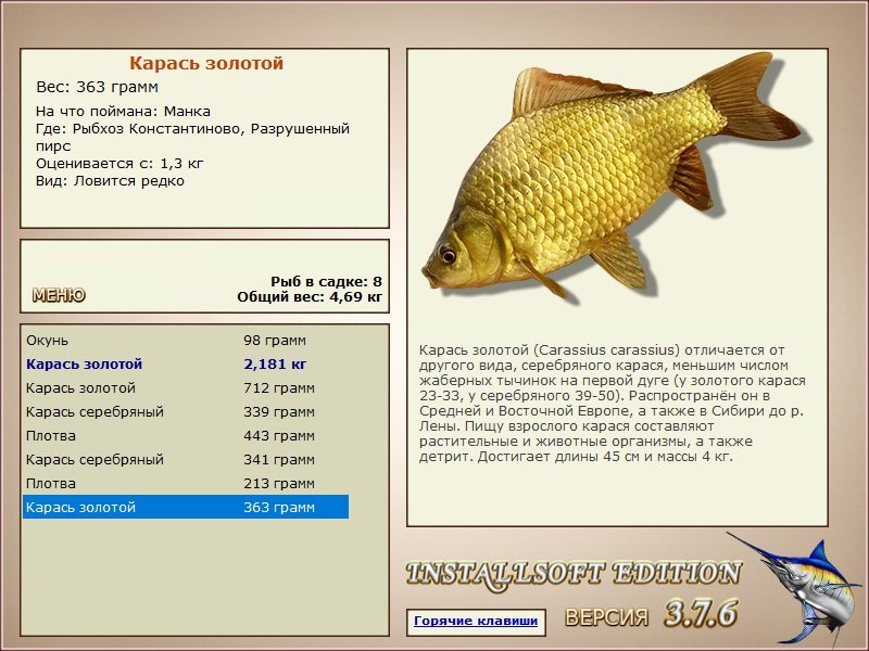 Разрушенный пирс 