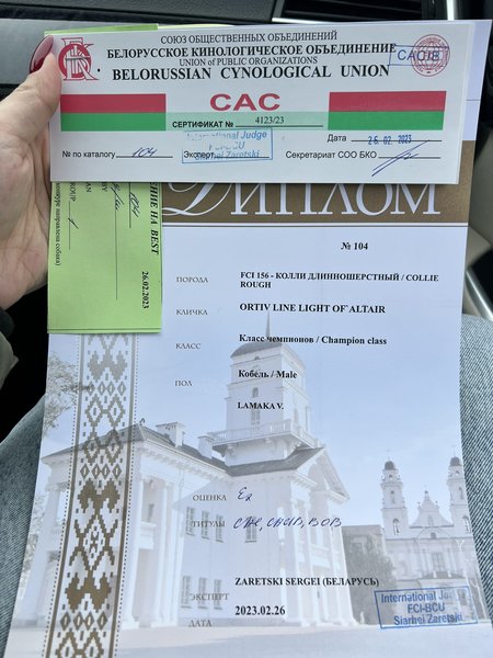 Изображение