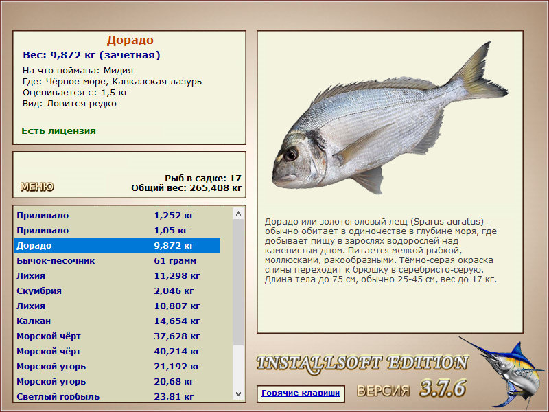 Чёрное море 