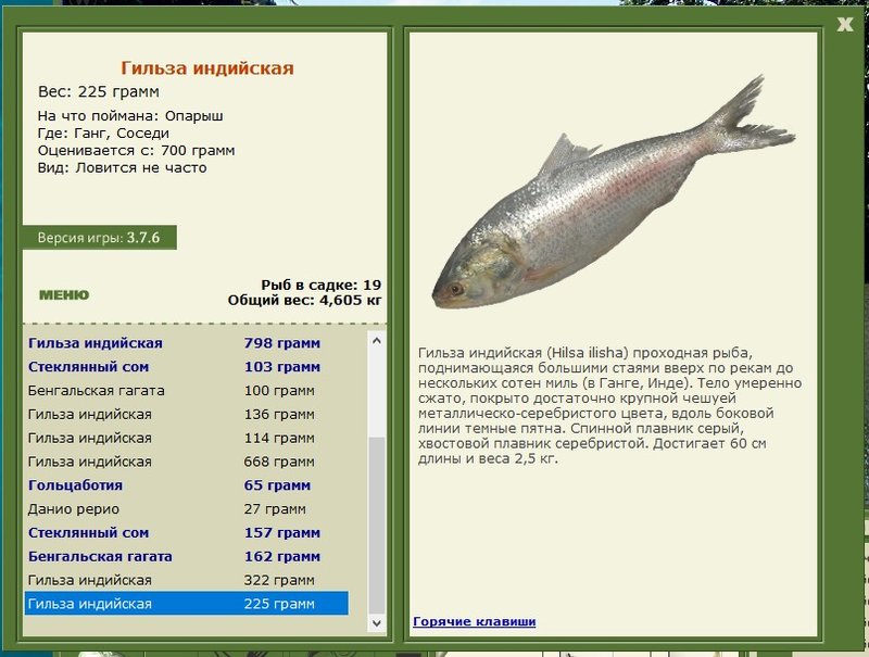 Соседи 