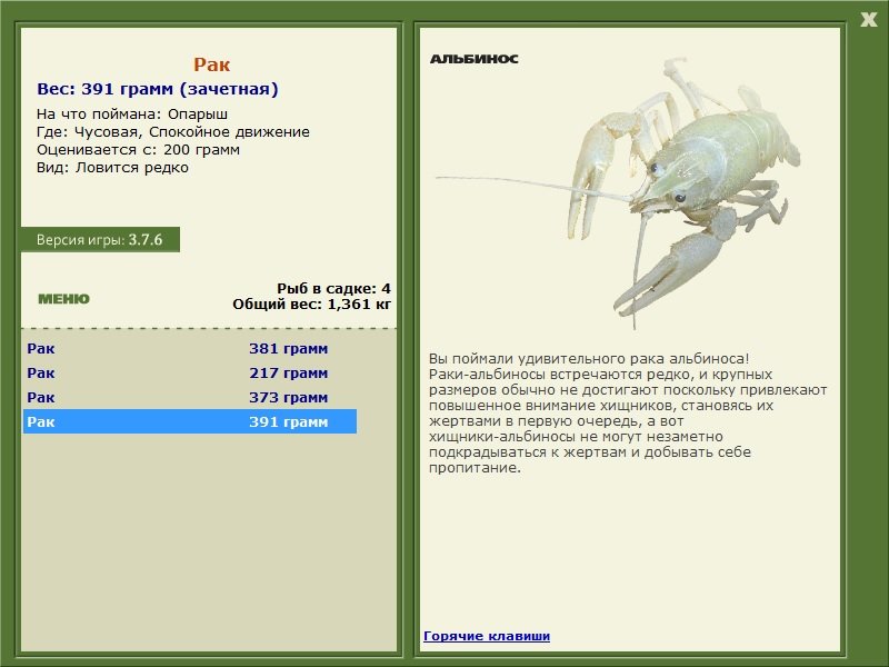 турниры • РУССКАЯ РЫБАЛКА