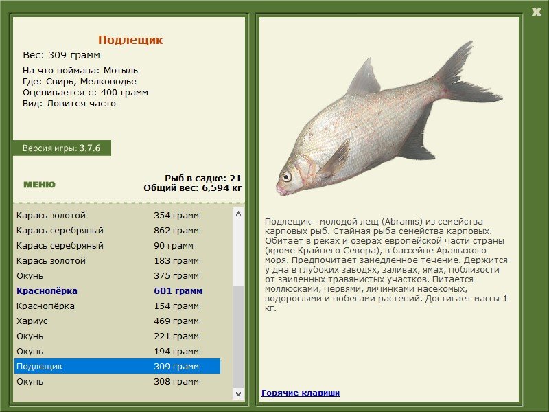 турниры • РУССКАЯ РЫБАЛКА
