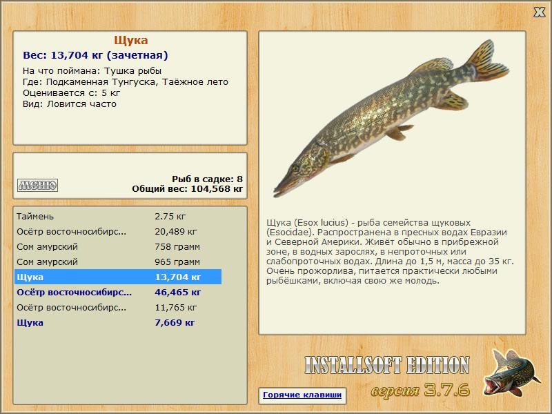Таёжное лето 