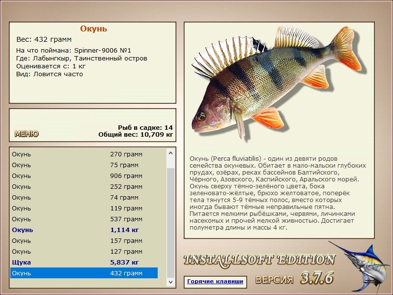 турниры • РУССКАЯ РЫБАЛКА