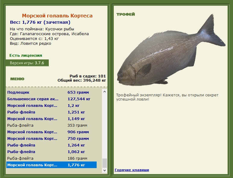 Морской голавль Кортеса 