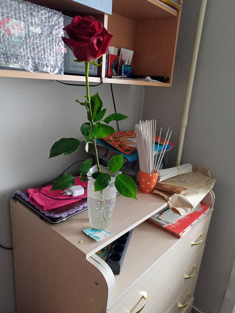 Как готовимся к 8 марта.