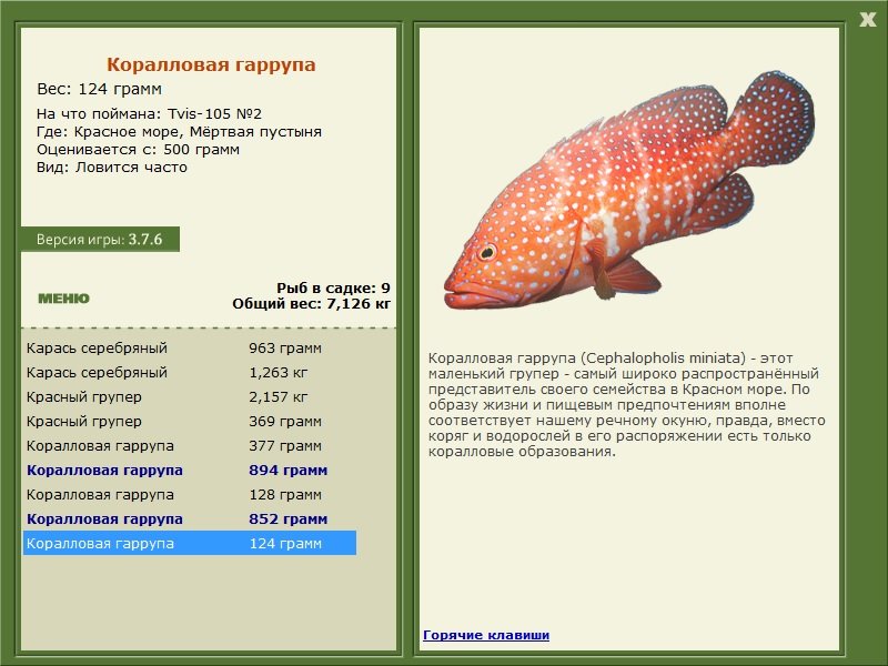турниры • РУССКАЯ РЫБАЛКА