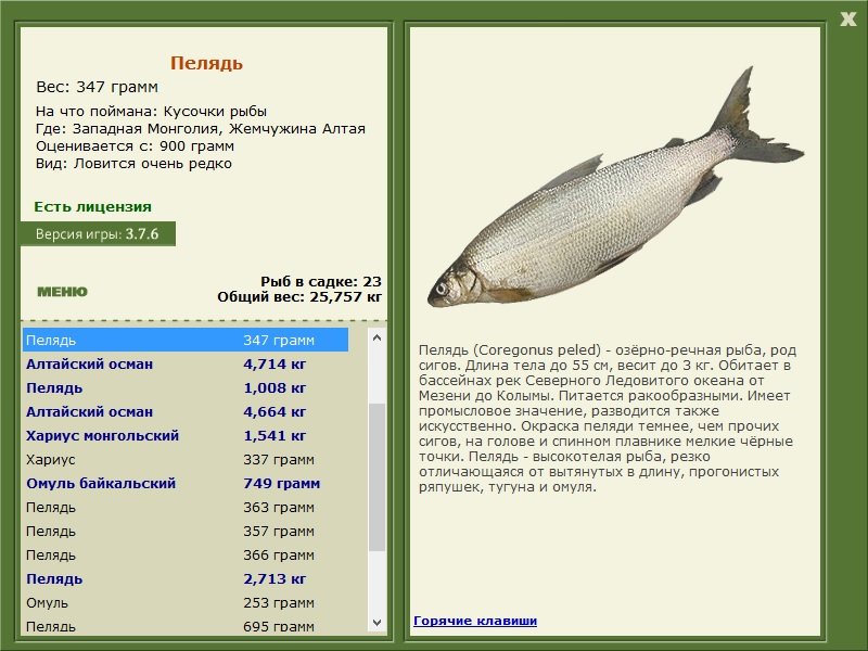 турниры • РУССКАЯ РЫБАЛКА