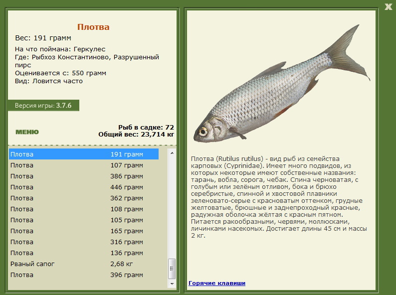 турниры • РУССКАЯ РЫБАЛКА