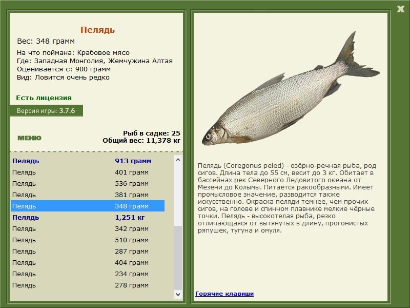 турниры • РУССКАЯ РЫБАЛКА