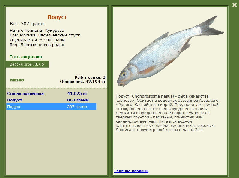 Васильевский спуск 