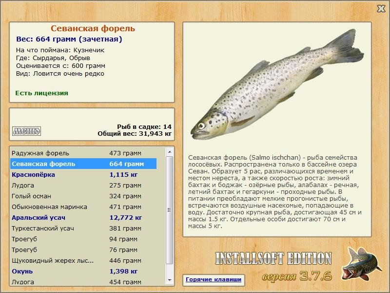 Сырдарья 