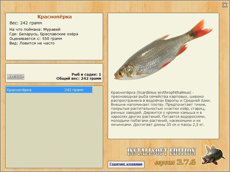Браславские озёра 
