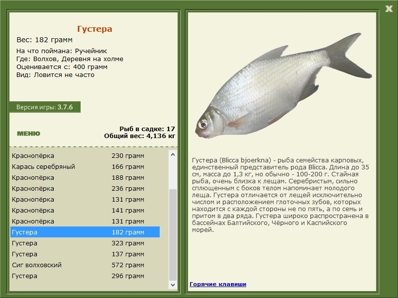 турниры • РУССКАЯ РЫБАЛКА
