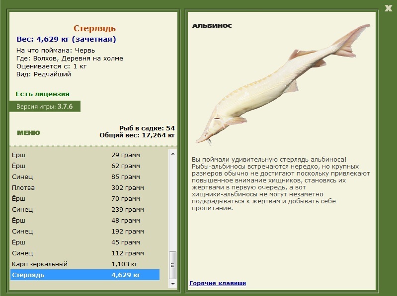 Деревня на холме 