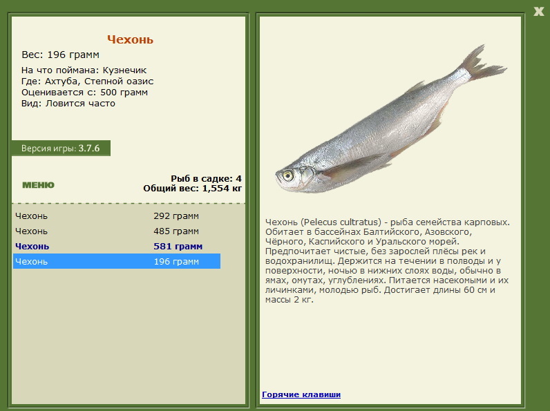 Степной оазис 