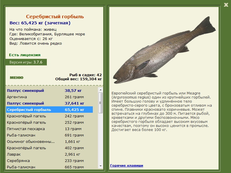 Бурлящее море 