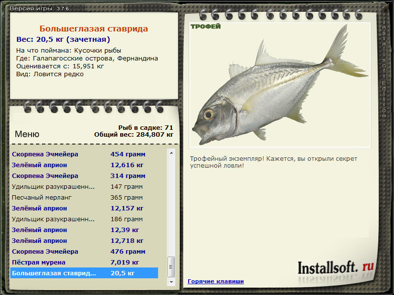 Кусочки рыбы 