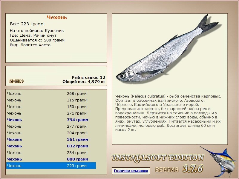 Рачий омут 