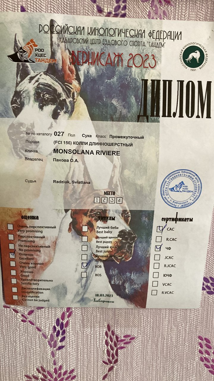 Изображение