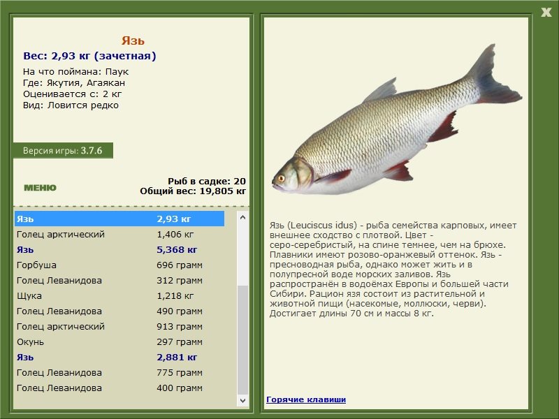 РУССКАЯ РЫБАЛКА Installsoft Edition 